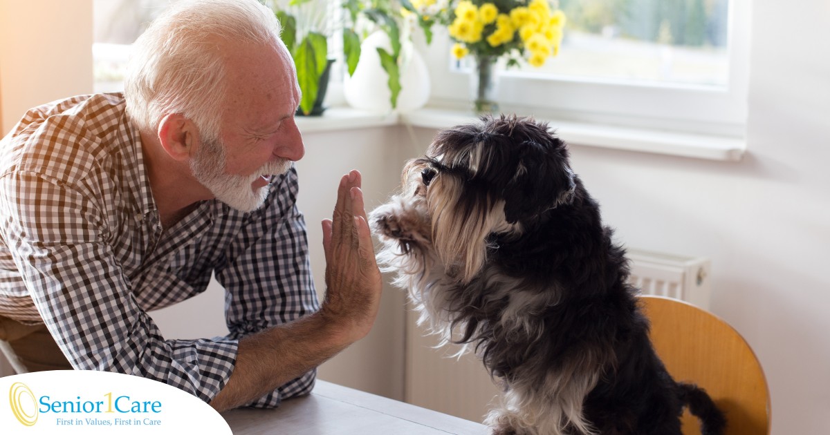 A senior man “high-fives” his pet dog, showing the type of close relationship professional caregivers should be aware of when caring for clients.